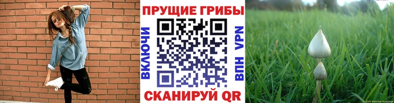Псилоцибиновые грибы мухоморы Пересвет