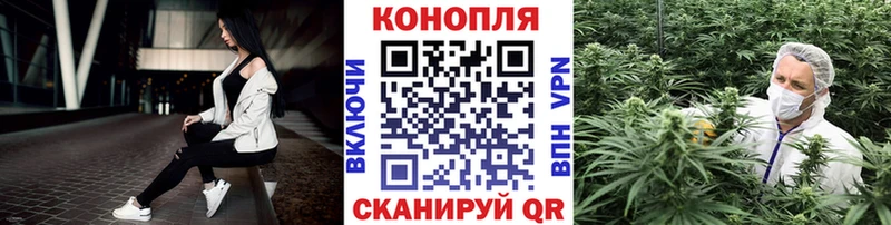 Каннабис OG Kush  Пересвет 
